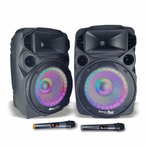 Extreme Sound Coppia Casse Audio Attiva e Passiva DJN 12 con coppia Microfoni Wireless,Bluetooth, 2000W Potenza Musicale - Perfette per Karaoke, Feste ed Eventi - Altoparlanti da 31 Cm, luci led