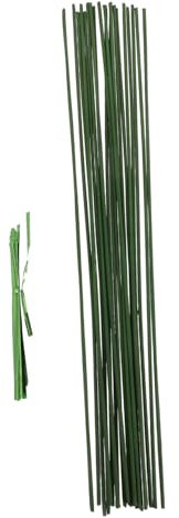 TOYANDONA 20 Pièces Tuteurs pour Plantes Pot Supports Anneaux Métal Plastique Intérieur Jardin Décoration Potager