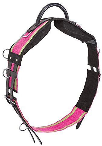 Longiergurt mit Handgriff