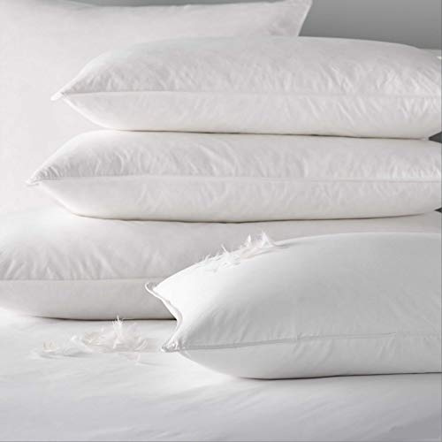 Evodreams Nuovo Guanciale Piuma D'Oca 100% con Tessuto in Puro Cotone a Tenuta Piuma - Igienico e antiallergico - Prodotto Fatto in Italia