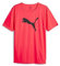 PUMA Herren Individualrise Logo Tee Fußballtrikot, Feuer Orchidee