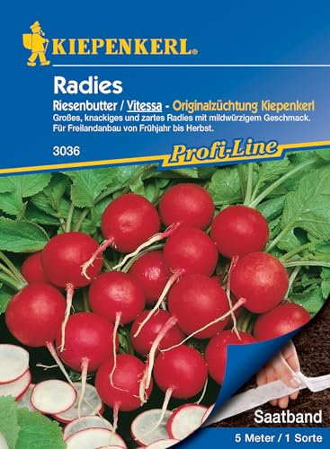 Kiepenkerl Profi-Line Graines de radis Beurre géant / Vitessa, ruban 485 – Semis facile, grand et croquant, idéal pour le potager