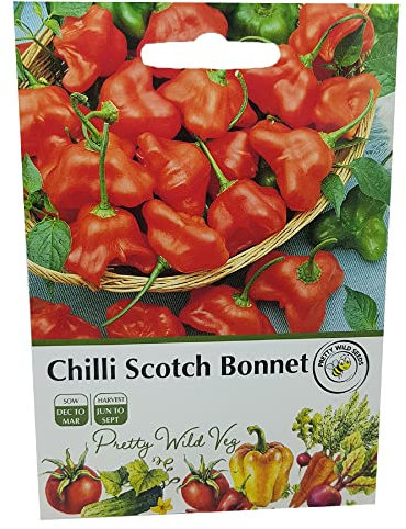 Chilli Scotch Bonnet Seeds in Pictorial Packet from a UK Seller Perennial Hot Pepper Variety