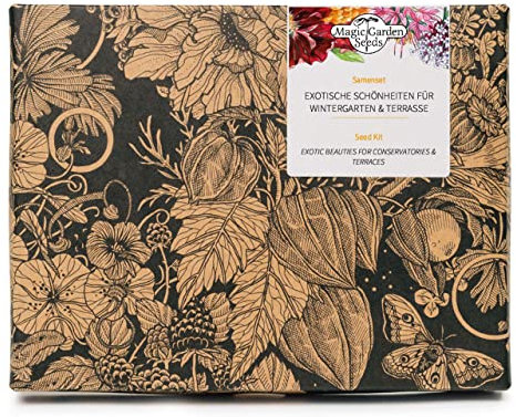 Exotische Schönheiten für Wintergarten & Terrasse - Samen-Geschenkset mit 5 frostempfindlichen Blühpflanzen aus aller Welt