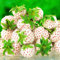 Strawberry 'Snow White' Fast Growing Bare Root Garden Bush Fruit Plants (5 Plants)