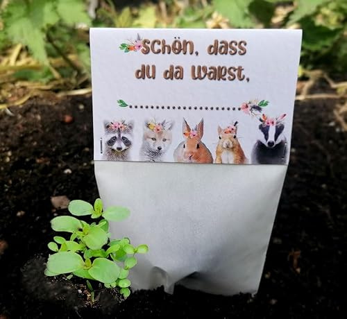Seedball gästgåva * MadeInGermany* stöds av regionala handikappverkstäder – hållbara gåvor | fröbomber, blomfrön, frökulor, blombollar (10 påsar – bistatsbankett)