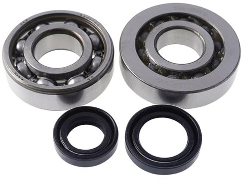 STREETLIGHTS SL0080 Kurbelwellenlager SKF C4 mit Wellendichtringen kompatibel mit Euro 2 Elystar, Speedfight 2, TKR