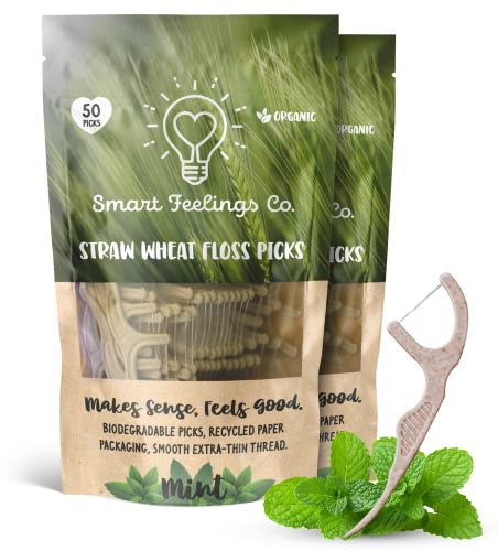 Biodegradable Dental Floss Picks 100 Count 2 Packs | Eco-Friendly Bamboo Like Straw Wheat Sustainable Mint Flavored Flossers for Kids and Adult Teeth Cleaning for the Enviromentally Conscious