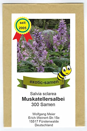 Bienenweide - Muskatellersalbei - Salvia sclarea - 300 Samen