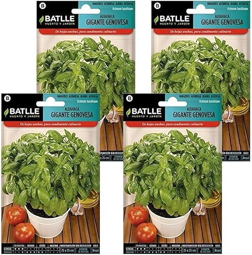 Pack 4 Semillas de Albahaca gigante genovesa en sobre de Semillas Batlle