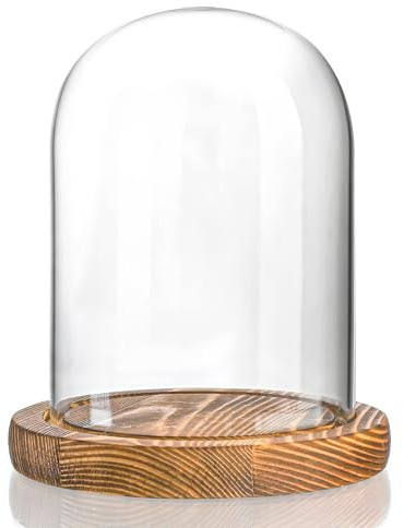 ZEERSHEE Glasglocke mit Holzsockel für Heimdekoration (15 x 12,4 cm)