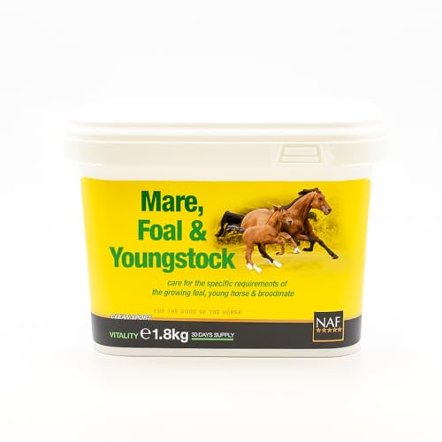 NAF Mare, Foal & Youngstock