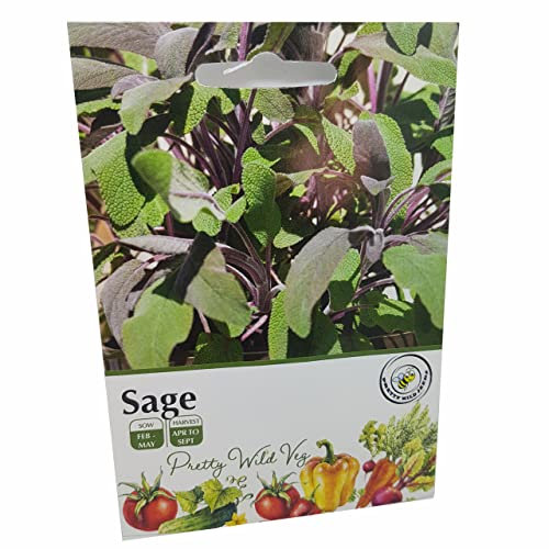 Sage Herb Seeds in Pictorial Packet from UK Seller