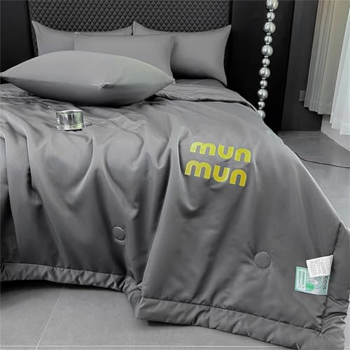 Highdi Colcha Acolchada Microfibra Extra, Satén Colcha de Verano, Letras Manta Sofa Suave, Cubre Cama Fina Ligera Multiusos, Verano, Otoño para Alle Jahreszeiten (Gris,180x200cm)