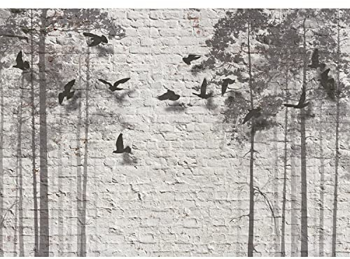 Runa Art Papel tapiz fotográfico Pájaros de la pared de piedra Moderna Lana Sala Cuarto Salón - Made in Germany - Negro y blanco 9104010b