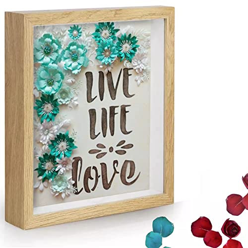 Eyeleaf 3D Bilderrahmen zum Befüllen - Picture frames Tiefe Box Objektrahmen mit Glasscheibe (20 x 25 cm) Protokoll