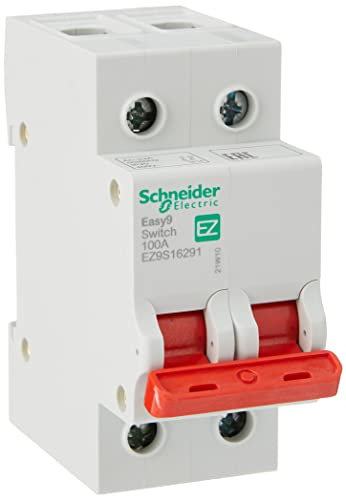 Schneider Electric EZ9S16291 Easy9 Disjoncteur 2P 100 A 400 V 50/60 Hz Gris