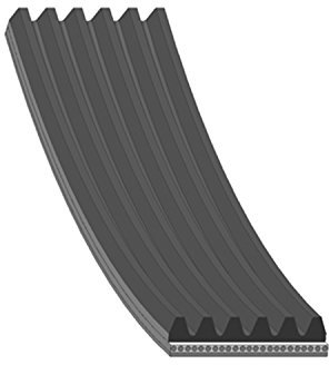 BLUE PRINT Keilrippenriemen AD06R1255