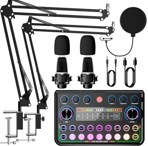 SINWE Podcast-Set für 2 Personen,Audiomischer mit Mikrofonen für Smartphone & PC,All-in-One DJ-Equipment,Plug-and-Play,Ideal für Streaming, Gesang, YouTube & Gaming