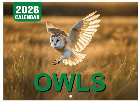 Calendario de pared 2026, calendario de búho para pared con grandes bloques rayados, planificador de enero a diciembre de 2026 para planificar la programación en el gimnasio, hogar, escuela, lugar de