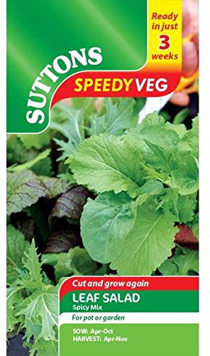 Suttons - Speedy Veg Seed - Leaf Salad Spicy Mix