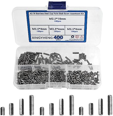 BGTXINGI 400 pcs M2.5 x 4/6/8/10 mm A2–70 en acier inoxydable Tasse point Ensemble de vis sans tête Allen Tête Douille hexagonale Vis Assortiment kit (Din916 & Gb80)