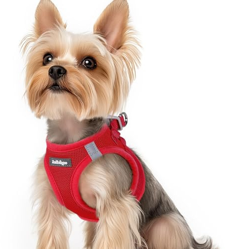 rabbitgoo Harnais Chien Petite Taille Rouge XS, Harnais Chiot Respirante en Maille Souple, Arnet pour Chien Réfléchissant Facile à Mettre, Gilet Réglable pour Petits et Moyens Chiens pour Marche