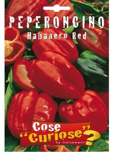 Semi - Peperoncino - Habanero Caribbean Red