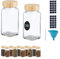 Relaxdays Bocaux à épices, Lot de 12, saupoudrage, Verre, 120 ML, étiquettes, Stylo & Entonnoir, Transparent/Nature