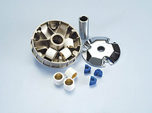 Pln241363 - variatore polini