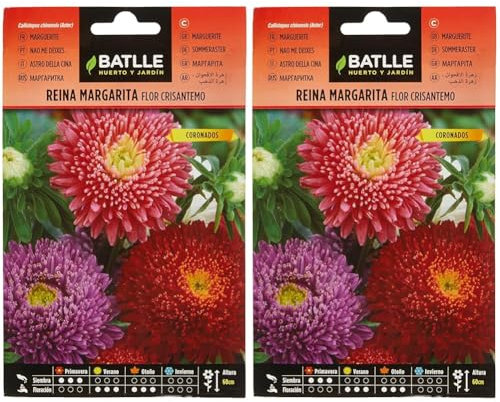 Semillas Batlle Regina Margherita, Crisantemo (Confezione da 2)
