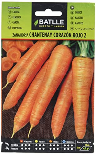 Semillas Batlle Carotte CHANTENAY Coeur Rouge 2