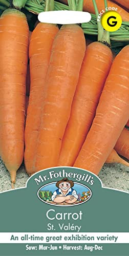Mr Fothergill's 22521 Vegetable Seeds, Carrot St Valery