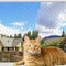 NEWFUN Katzennetz für Balkon,10X3M Balkonnetz für Katzen, Katzennetz Balkon, Stabiles, Langlebiges,Wetterfestes Katzenschutznetz mit Befestigungsschnüren, Heringen und Kabelbindern,Katzennetz Balkon