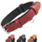 Grand Line Leder Hundehalsband, Lederhalsband Hund mit Weichem Gepolstertes, Breiter und Dicker Hundehalsband, Verstellbares Halsband Hunde für Kleine, Mittlere, Große Hunde (Rot, M)