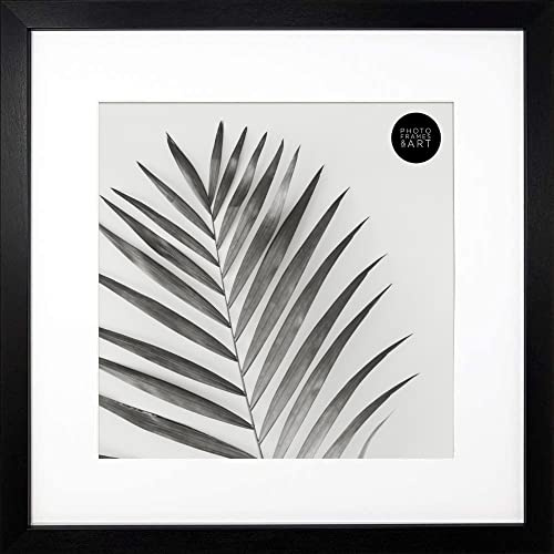pf+a REAL GLASS Black Square 16x16 For 12x12 Picture Frame Wall Display