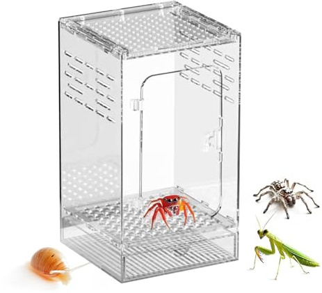 Spindel Terrarium Ventilerat Reptil Terrarium | Litet Spindelterrarium Och Reptil Habitat För Användning I Inomhus Vid Avel Samt Utfodring Av Ödlor Grodor Eremitkräftor