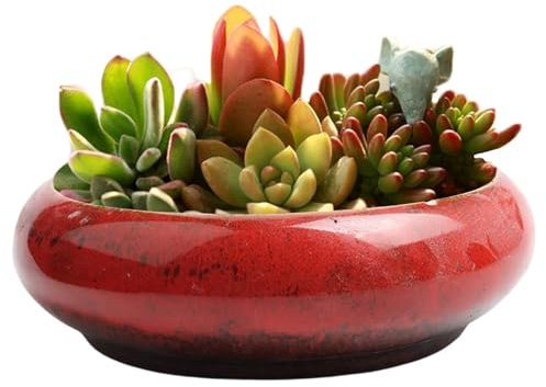 Pot de fleurs en forme de bol de lotus, bol de lotus en céramique de 7,4 x 7,3 x 2,1 pouces, pot de bonsaï de nénuphar, pot de plantes succulentes hydroponique pour la plantation intérieure et extérie