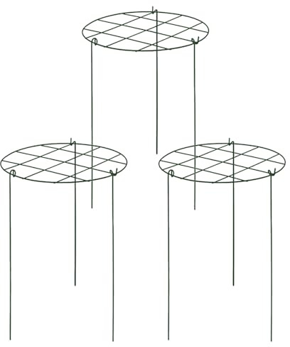 Soporte para plantas de metal – Postes para celosía de jardín, trepiante, estructura para entrenamiento para el crecimiento de rosas de tomates vegetales, soporte de jaula de gaviones de hierro