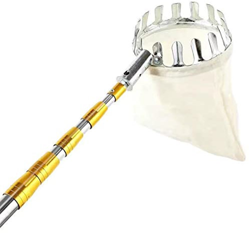 Tightstore Apfelpflücker mit Teleskopstiel, Obstpflücker, Pflückmandarinen-orangenbaum-Stoff-gartenwerkzeug, für Zuhause, Obstgarten, Bauernhof, Garten