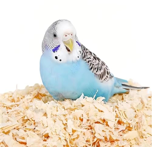 MANON ROSA Wood Shavings for Bird Bedding - Natural Aspen Soft Low-Dust & Odor-Control Nesting Material for Parakeets Parrots Rabbits Cockatiel for Cages, Nest Boxes, Small Pet Litter
