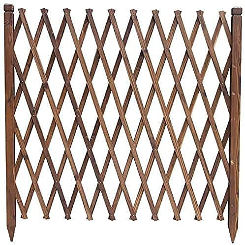 GXBCS Beeteinfassung Zaun Zierzaun Palisaden Für Garten Palisade Rasenkante Garten Dekorative Zäune Kletterpflanze Spalier Zaun Leitplanke Outdoor Gartenzaun Haustier Zaun Gitter Dekoration 1030(Siz