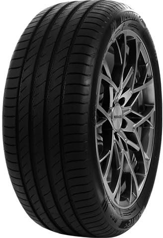 DELINTE - 205/55 ZR16 TL 94W DS2 XL BSW - Sommerreifen