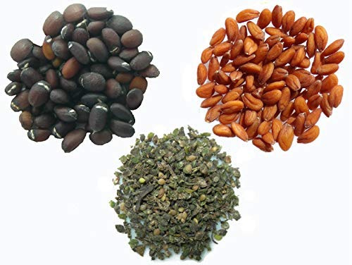 Vos Favoris 2017 - 3 sachets: 1 sachet de Cataire 70 graines + 1 sachet de Cresson Alénois 3 grammes + 1 sachet Grande Ortie de 0,30 grammes ( graines grossièrement décortiqué )