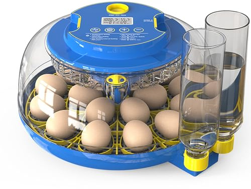 Incubadora Huevos Gallina Automatica: Incubadoras de 18 Huevos Automaticas - FOFNON Chocadeira Ovos Automática con Volteo Automático de Huevos y Control de Humedad -Volteador de Huevos