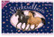 Lutz Mauder 72016 TapirElla Stickeralbum, Pferde