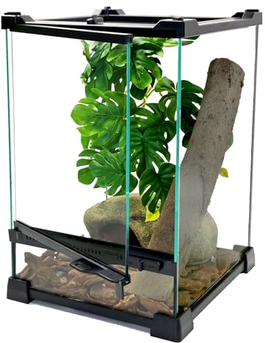 Woyrise Reptile Terrarium 8x8x12 Mini, Front-Opening Glass Tank with Mesh Lid & Escape-Proof Locks, 360° Vertical Enclosure with Gap Sealing Strip for Small Geckos, Frogs, Tarantulas, Lizards