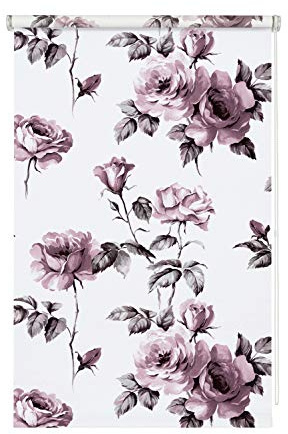 Wohnidee Daylight Rose Roller Blind for Clamping, Gluing or Screwing, Opaque, All Mounting Parts Included, White, 60 x 150 cm (W x H)