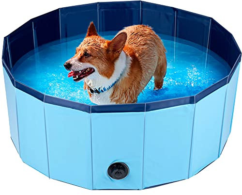 BAKAJI Piscina per Cani Pieghevole con Fondo Antiscivolo Blu, Vasca Animali Domestici con Valvola di Scarico, Tinozza in PVC Resistente e Stabile Sistema di Chiusura Salvaspazio Slim (Diametro 80 cm)