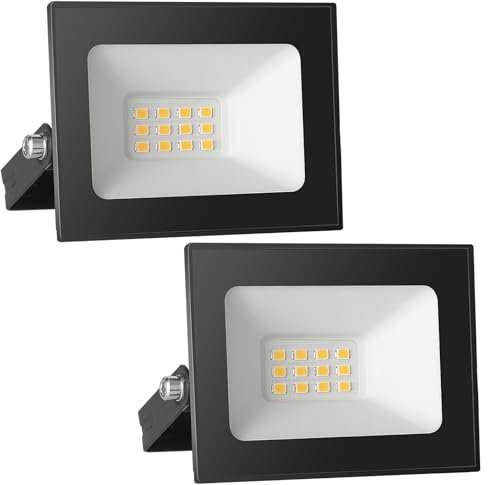 Royana Faretto LED da 12 V, 10 W, per esterni, IP65, impermeabile, bianco freddo, per giardino, garage, hotel, campo sportivo (2 pezzi)